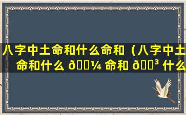 八字中土命和什么命和（八字中土命和什么 🐼 命和 🐳 什么命）